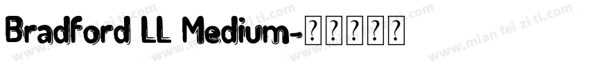 Bradford LL Medium字体转换